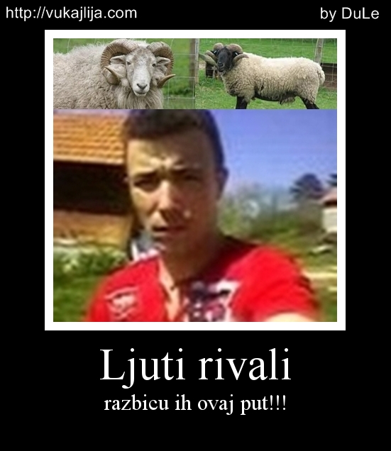 Dusan phixr 1